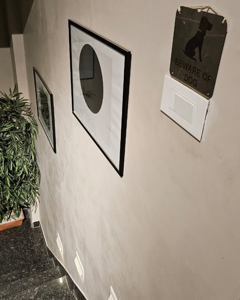 Carrara Application 8