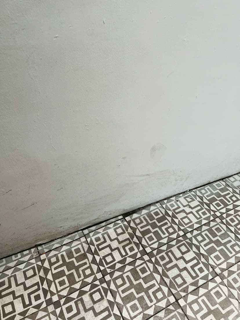 Lime Plaster Wall Finish