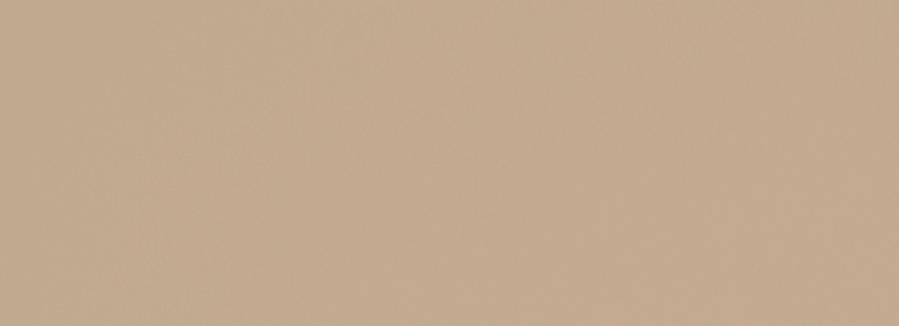Premium Decorative Paint