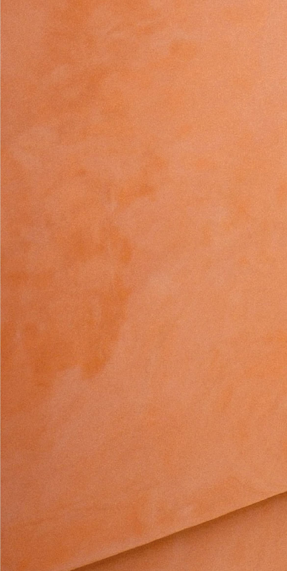 Decorative Paints for Walls
