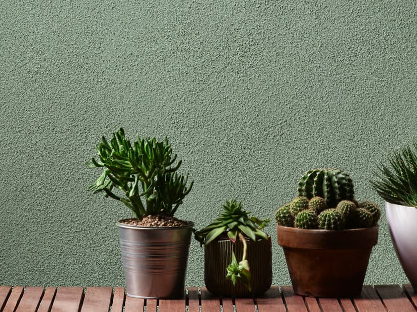 Stucco Wall Finish