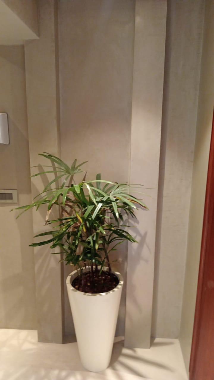 Minimalist interior design featuring a green plant in a white decorative pot, with textured vertical wall panels and modern lighting, creating a clean, contemporary look